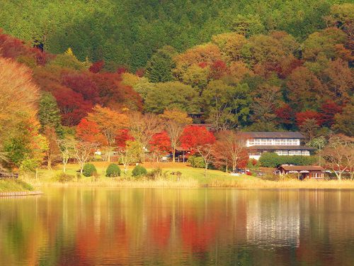 田貫湖の紅葉：湖面に映る紅葉風景