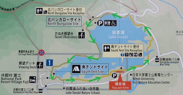 田貫湖の現地案内図（歩いたルートを矢印で示しています）