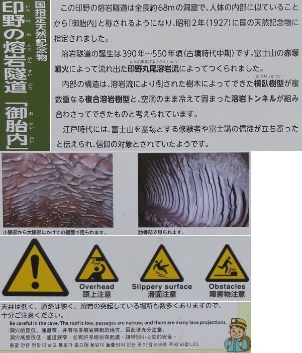 富士山御胎内清宏園の印野の熔岩隧道「御胎内」（国指定天然記念物）の説明板