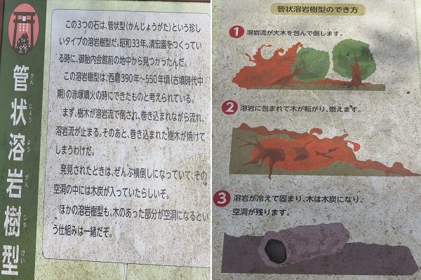 富士山御胎内清宏園の管状溶岩樹型の説明板（図付き）