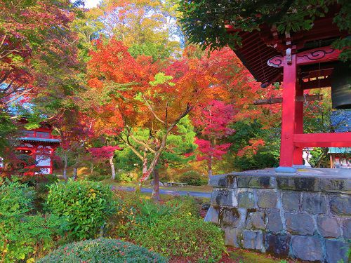 宝鏡寺の紅葉：梵鐘方向から眺めた紅葉景色