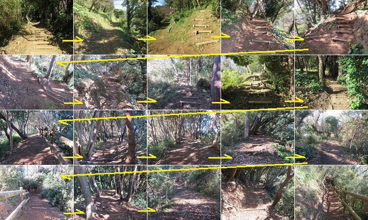安城岬と亀甲岩への道のり紹介にて、木々の緑などのロケーションの散策路途中の様子（歩いたルートを矢印で示しています）