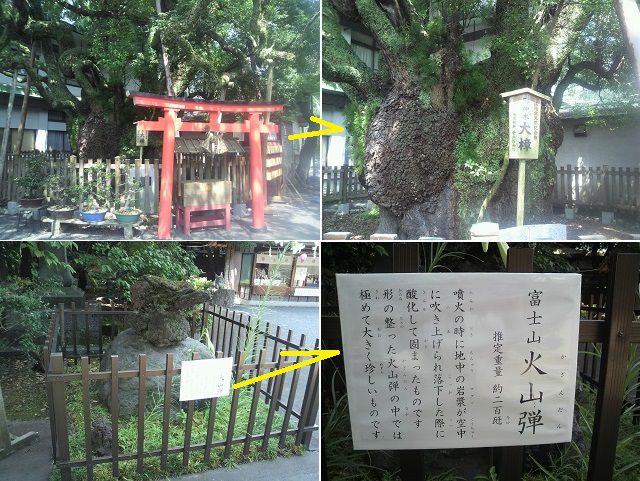 ドラえもん神社（富知六所浅間神社）にて、鎮座する樹齢１２００年の御神木の「クスノキ」と重量２００キロの「富士山火山弾」