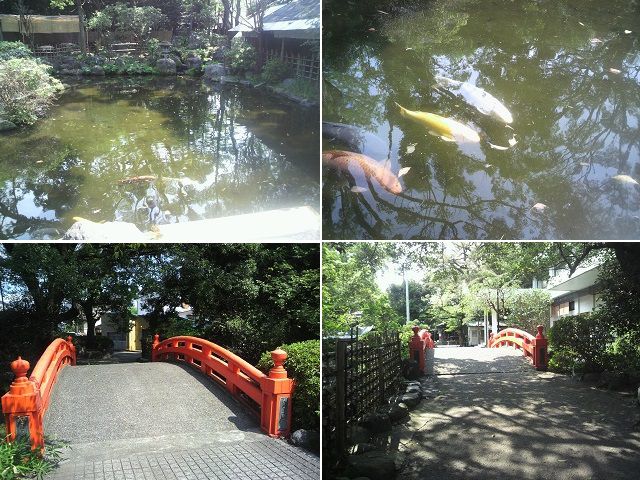 ドラえもん神社（富知六所浅間神社）の神池と鯉、ことぶき橋