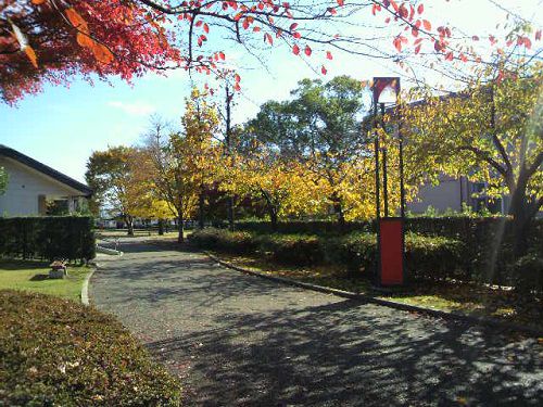 米之宮公園の紅葉の様子（遊歩道沿い）