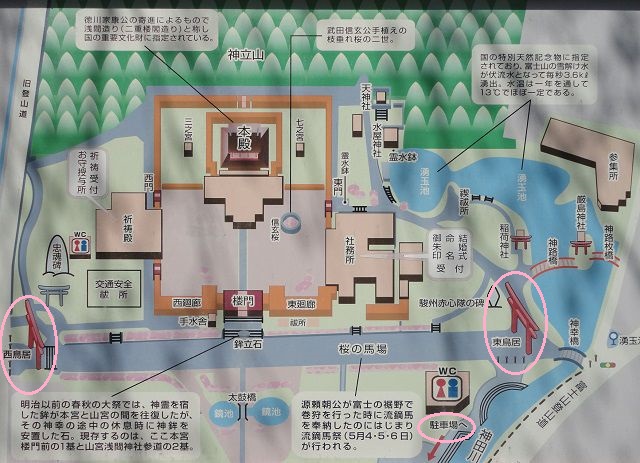 富士山本宮浅間大社の桜：境内案内看板にて桜箇所をイメージしてもらう為、マークを表示しています。