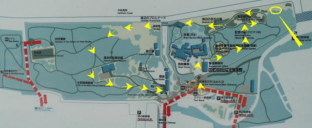 沼津御用邸記念公園のひまわり畑：沼津御用邸記念公園の園内案内図（歩いたルート）をお伝えしています