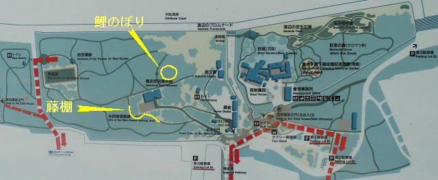 沼津御用邸記念公園の現地案内図（鯉のぼりと藤棚の箇所を示しています）