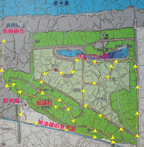 浜岡砂丘白砂公園の桜：現地案内図（駐車場や桜並木、ひょうたん池の場所を記しています）
