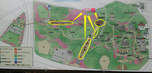 広見公園のバラ園：園内案内図（バラ園の箇所をマークしています）