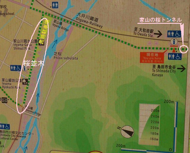 家山の桜トンネルと家山川沿いの桜並木、そして臨時駐車場の位置関係（案内図）