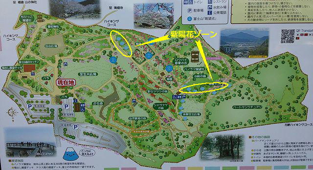 岩本山公園の紫陽花：園内案内図（あじさいエリアをマークしています）