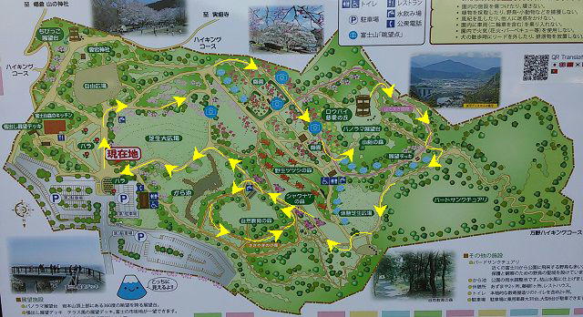 岩本山公園の園内案内図
