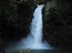 静岡県　滝（たき）観光スポット・名所