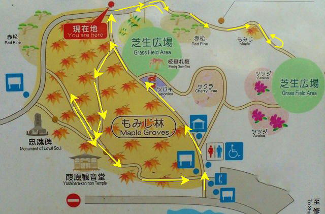 修善寺自然公園の紅葉：現地案内図（歩いたルートを矢印で示しています）